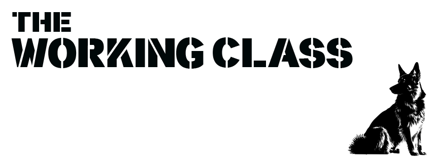 The Working Class Dog Blog